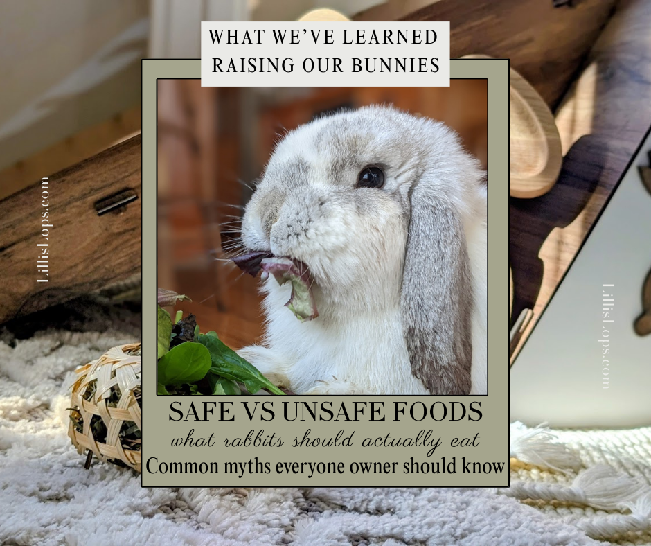 Safe vs. Unsafe Bunny Foods: Common Myths Every Owner Should Know