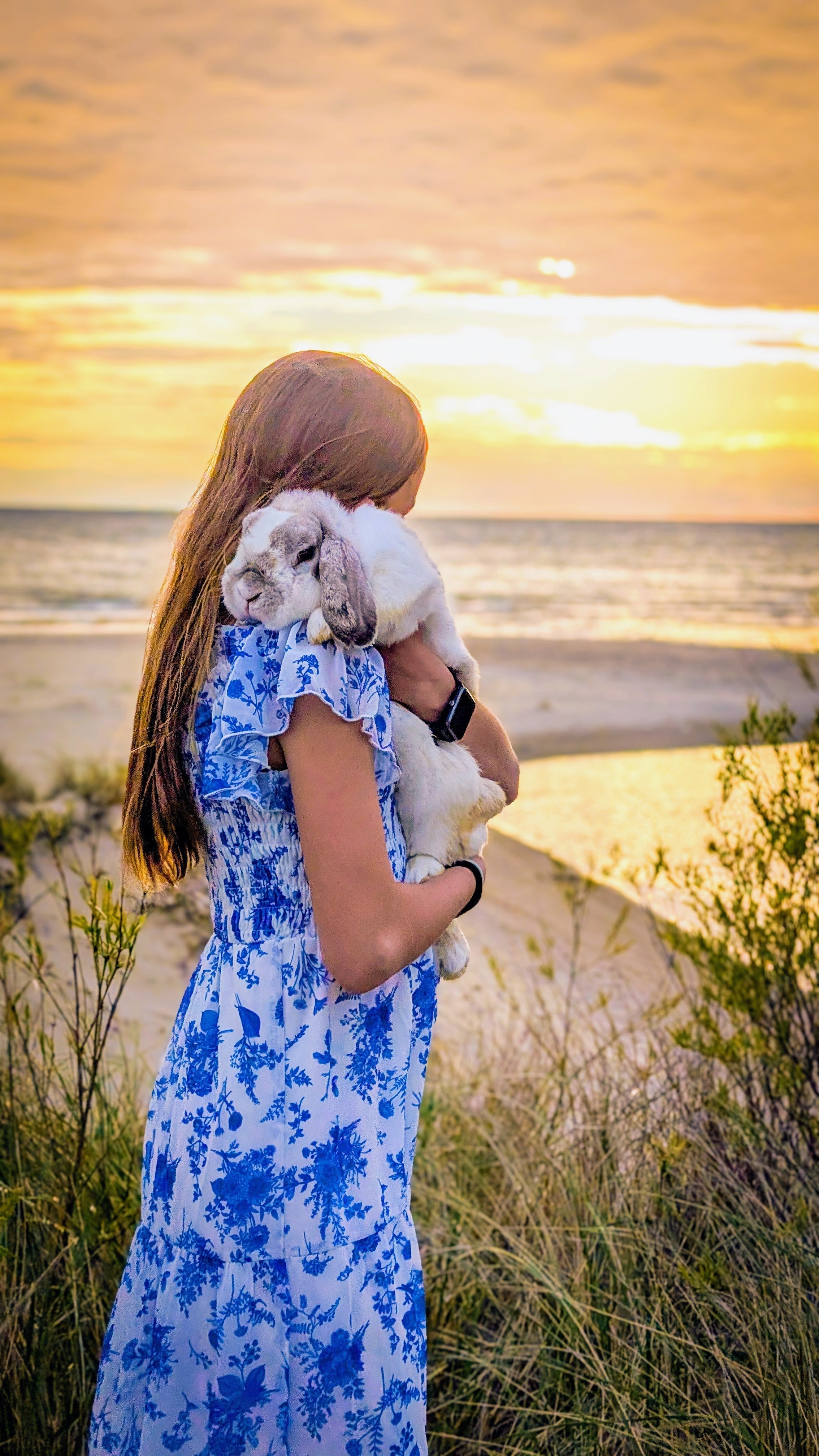 The #1 Mistake New Bunny Owners Make: Treating Rabbits Like “Starter Pets”