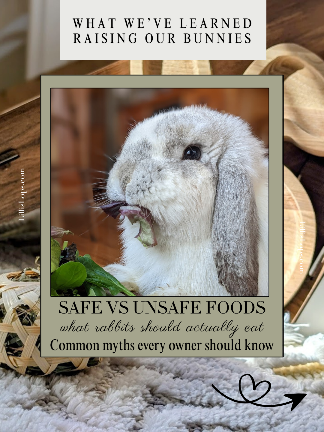 Cleaned Rabbit Food Safe vs. Unsafe Bunny Foods: Common Myths Every Owner Should Know ...